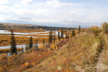 Fototapeta na wymiar Wonderful autumn landscape in front of a river in the region of Calgary, Alberta, Canada. Canadian landscape showing vegetation and a river during autumn in Canada.