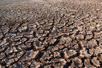 Dry soil due to global warming and climate change. Dry, brittle land. Dry riverbed.