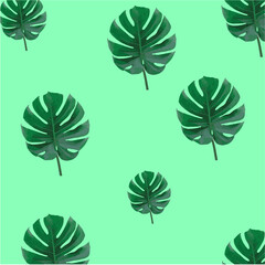 Green Leaf Pattern Design Wallpaper Background Tropical Palm, Jungle Leaf Seamless Vector Floral Pattern Background