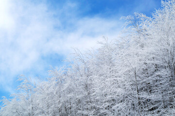 Tuscan Apennines covered with snow covered
