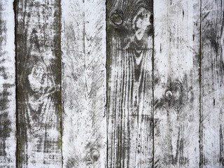 Old wooden floor or table. Black and white rustic background. 