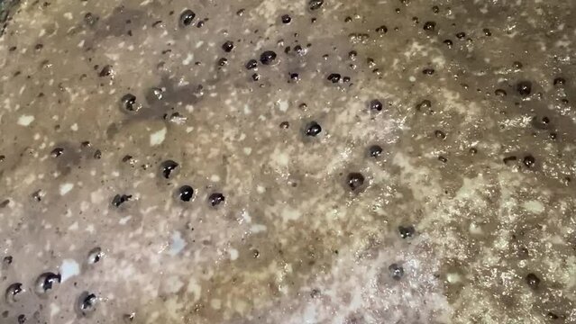 Moving bubbles on the surface of wine must caused by the residual carbon dioxide produced during the fermentation activity of yeast  Close up