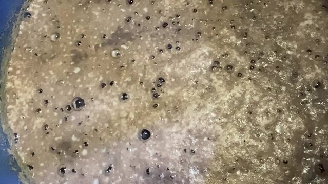 Moving bubbles on the surface of wine must caused by the residual carbon dioxide produced during the fermentation activity of yeast  Close up