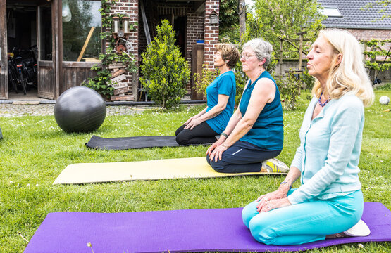 Three elderly ladies as they engaging in a peaceful yoga session in the garden.