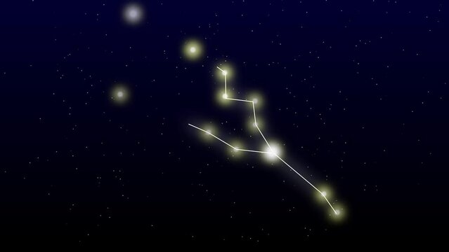 Taurus star zodiac star taurus animation on black night sky.