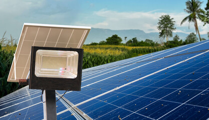 Solar cell panels become dirty caused by bird droppings, concept of solar cell panel maintenance...