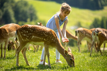 Little girl among reindeer herd on the sunny day