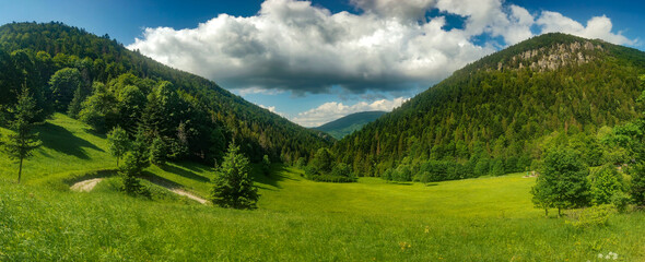 Górski krajobraz, pasmo Małej Fatry Słowacja - obrazy, fototapety, plakaty