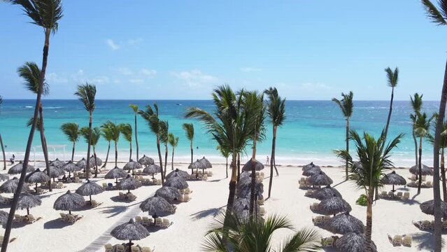 Aerial rising up view of the beach of the all inclusive resort with white sand and turquoise water of the sea. Tall palm trees and rows of straw umbrellas. Best places for summer vacations