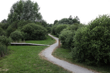 path in the park