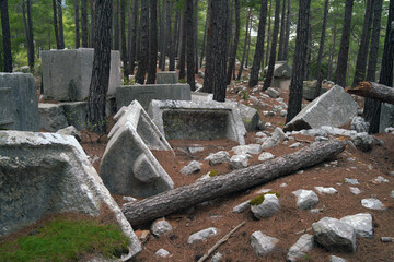 old cemetery in the forest