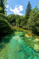 Serenity Unveiled: Discovering the Majestic Beauty of Vintgar Gorge's Turquoise River