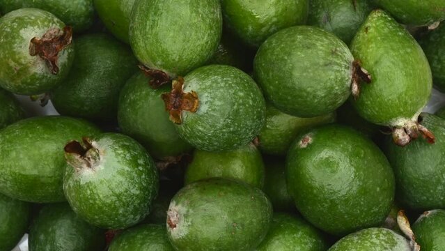 Green Feijoa Fruits Rotating. Top View. Close Up. Exotic Fruit Concept. 4k.