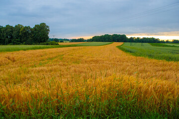 Spontaneous photos in a new place