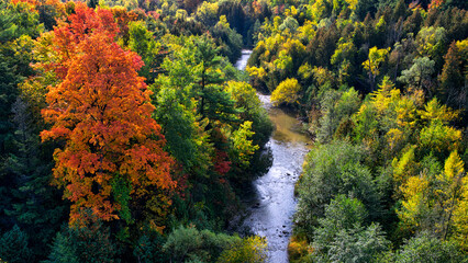 Aerial view of the river valley in autumn. © Elton