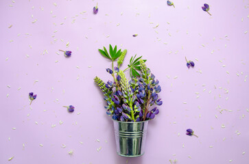 Bouquet of flowers purple lupines in small decorative silver bucket  on purple background with lupine petals. space for text
