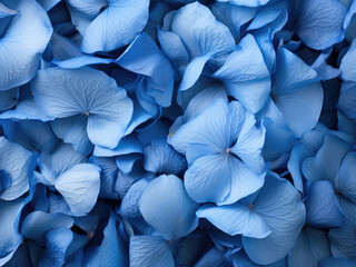 Blue rose petals as a background