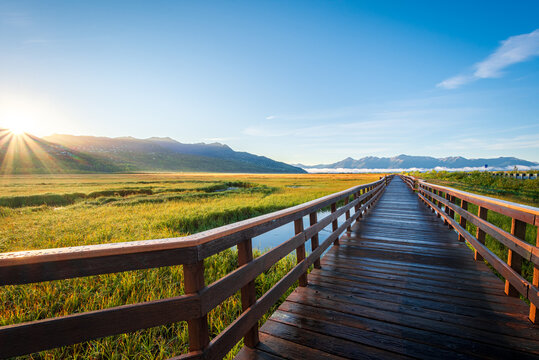 A wooden boardwalk in Potter Marsh Bird Sanctuary, Alaska.
