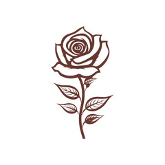 Rose Flower Logo Illustration Vector Design Template