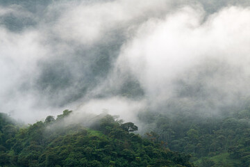 Mindo cloud forest, Quito region, Ecuador.