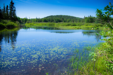 Beautiful and wild lake in the province of Quebec, Canada