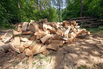 firewood_forest