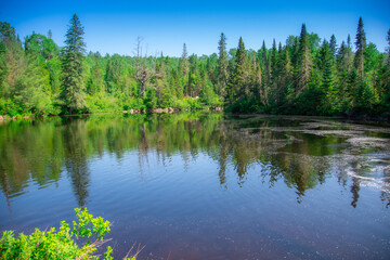 Fototapeta premium Beautiful and wild lake in the province of Quebec, Canada