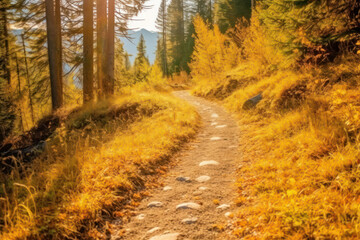 Obraz premium A serene and peaceful forest path, with golden sunlight streaming through the trees, creating a warm and inviting atmosphere in breathtaking 8k detail