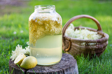 homemade syrup of elderberry flowers in a glass jar