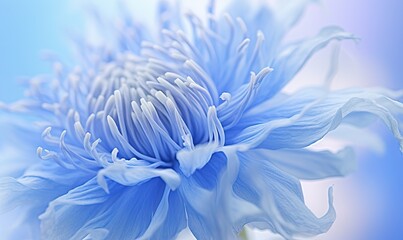  a close up of a blue flower on a blue background.  generative ai