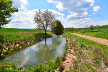 Water pond polder in agriculture landscape ecology development