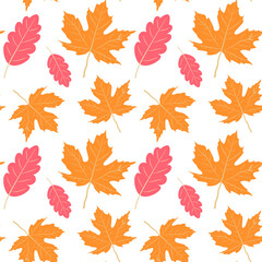 Pink oak and yellow maple leaves pattern, autumn, vector graphics. Vector illustration