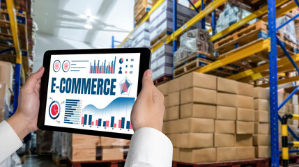 E-commerce data software provide modish dashboard for sale analysis to the online retail business