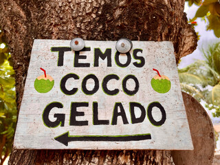 Brazil: We Have Frozen Coconut sign in portuguese hanging on a tree in Jericoacoara, the famous city with the sand streets in the northeast of the South American country 
