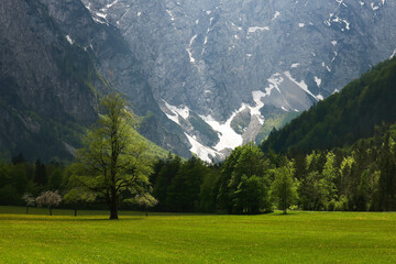 Beautifull Logar valley or Logarska dolina park, Slovenia, Europe © Rechitan Sorin