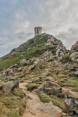 îles sanguinaires 
