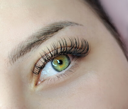 Close up of eye with eyelash extensions ,beauty salon treatment