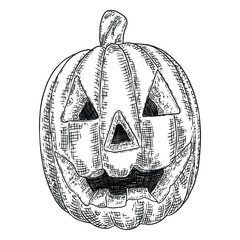 Halloween pumpkin with scary face. Celebrating Jack O Lantern pumpkin. Jack O Lantern face glows on Halloween night. Traditional Halloween symbol. Hand drawing sketch. Vector.