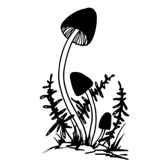 Sketch,doodle forest mushrooms with plants,wild grass.Vector graphics.