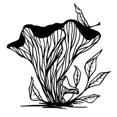 Sketch,doodle forest mushrooms with plants,wild grass.Vector graphics.