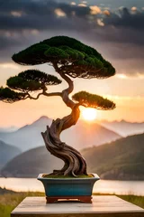 Selbstklebende Fototapeten Drzewko bonsai i wschodzące słońce © Ami