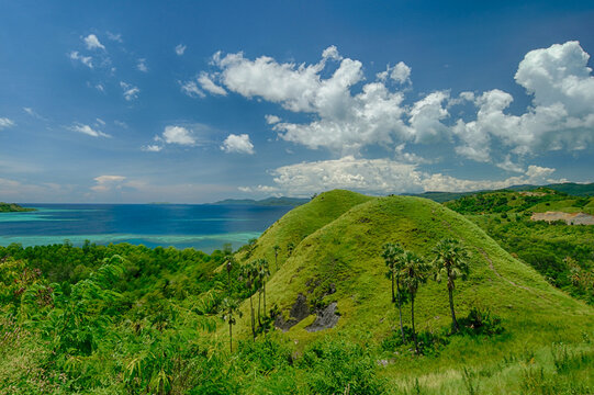 Beautiful green scenery at the nature of Flores.