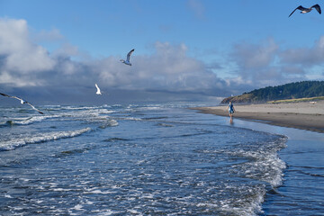 Woman walking along long beach with crushing waves and seagulls flying over the ocean. Pacific...