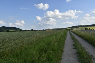Fototapeta na wymiar Landschaft und Wanderweg in der Nähe von Einbeck