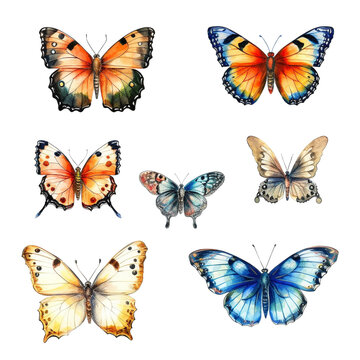 collection of real butterflies like Peacock butterfly brimstone in watercolor design isolated against transparent background