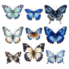 collection of real butterflies like Peacock butterfly brimstone in watercolor design isolated against transparent background
