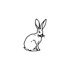 vector illustration of little bunny