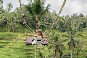 Bali swinging over Terrace rice fields in the morning, Ubud, Bali, Indonesia. 