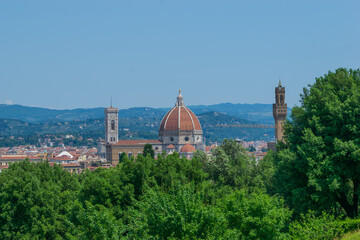 Fototapeta na wymiar view of the cathedral