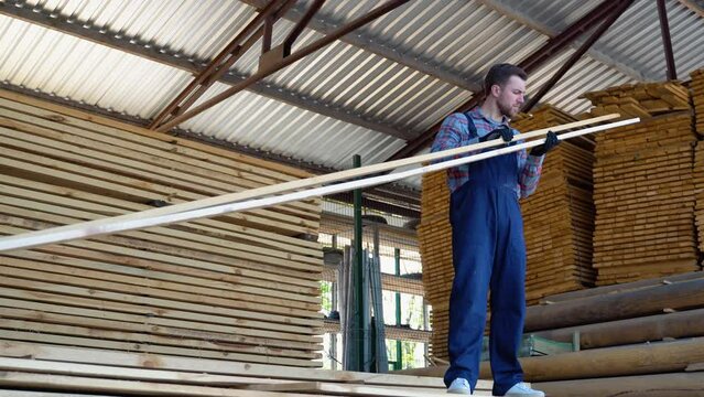 Young male worker in timber warehouse